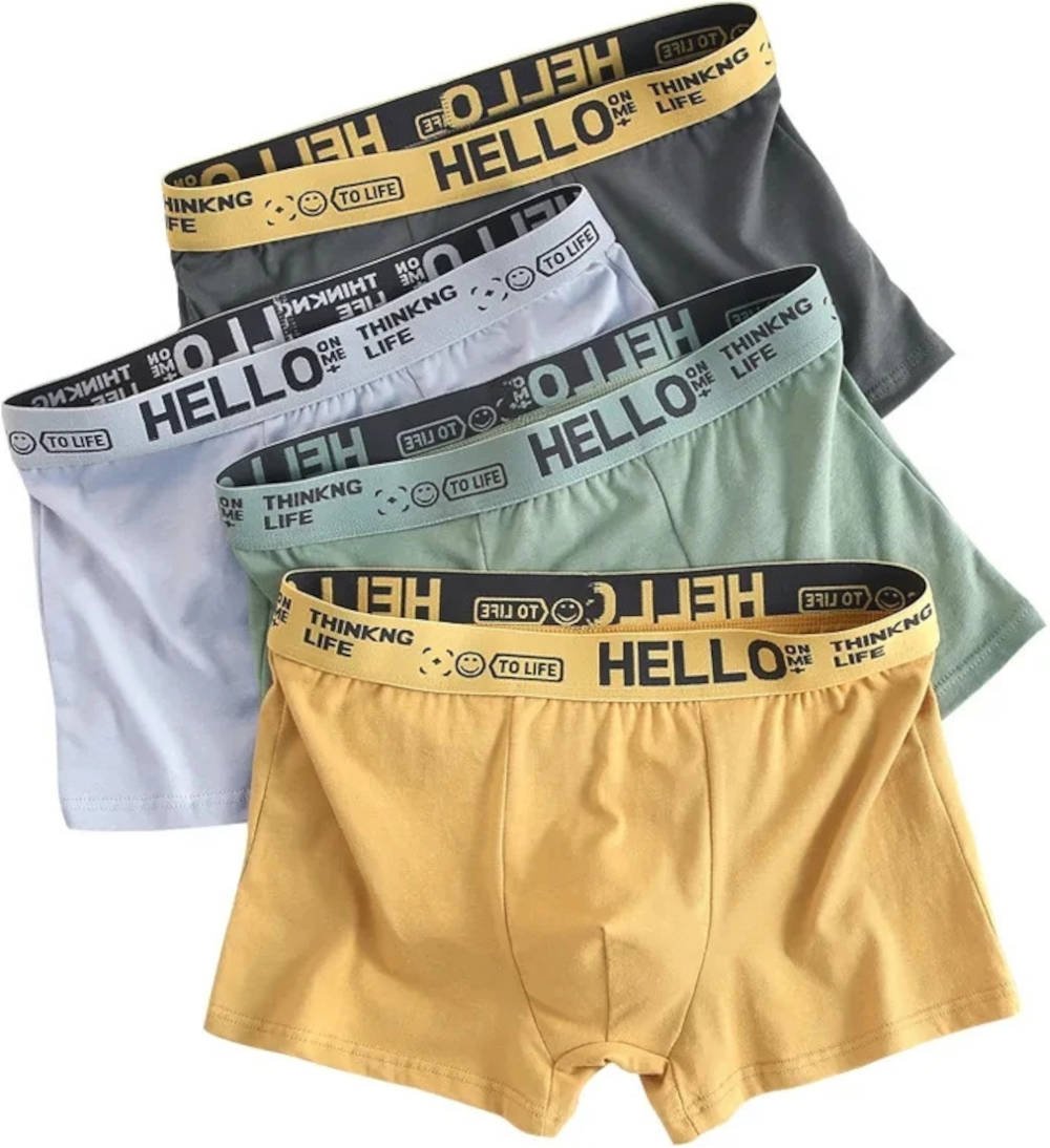 10 pcs boxer shorts V1