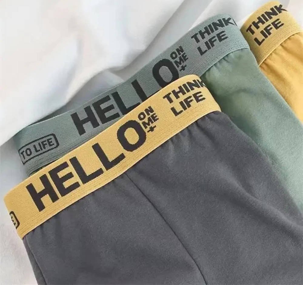 10 pcs boxer shorts V1