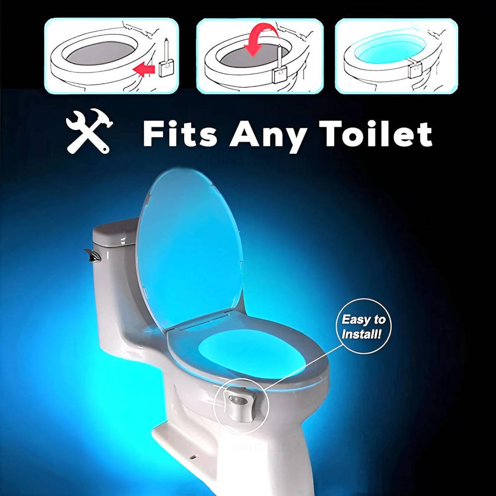 LED light for toilet